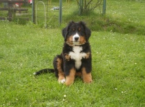 abby